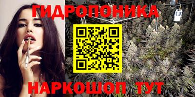jwh Будённовск