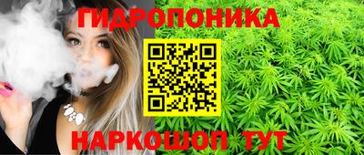 jwh Будённовск