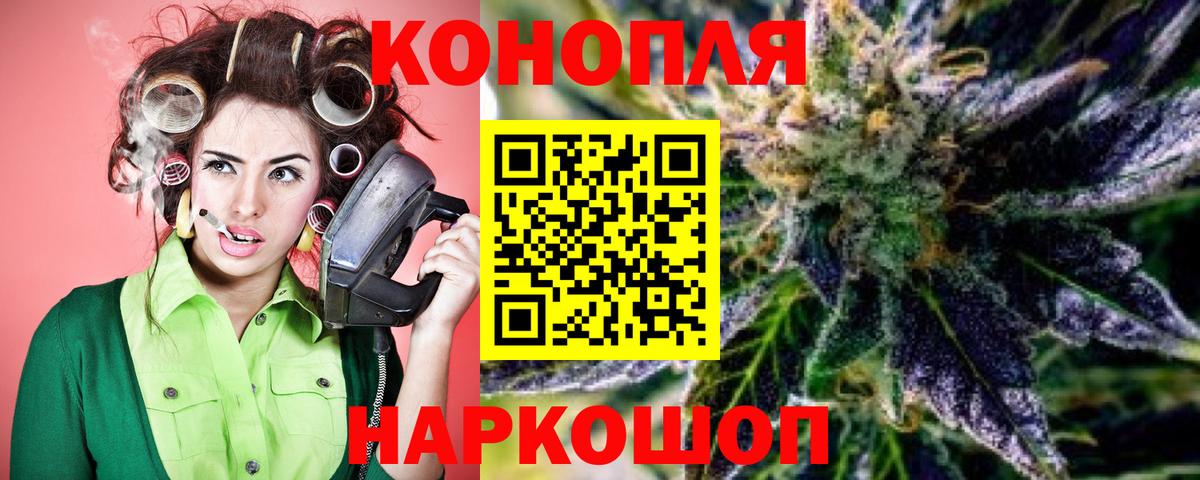 Каннабис MAZAR Майский